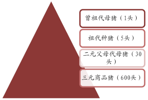 ag亚娱集团·(中国)官方网站